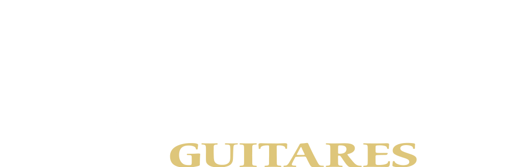 Guitares Boucher