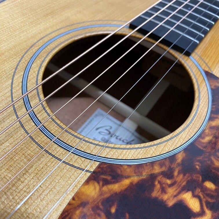 OM Hybride BG-41T-G